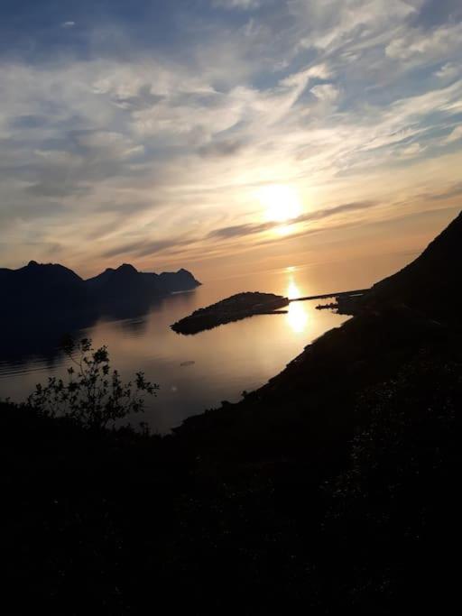 Senja, Husoy I Senja. Leilighet Med Utsikt Over Fjord Og Fjell Tofta Eksteriør billede