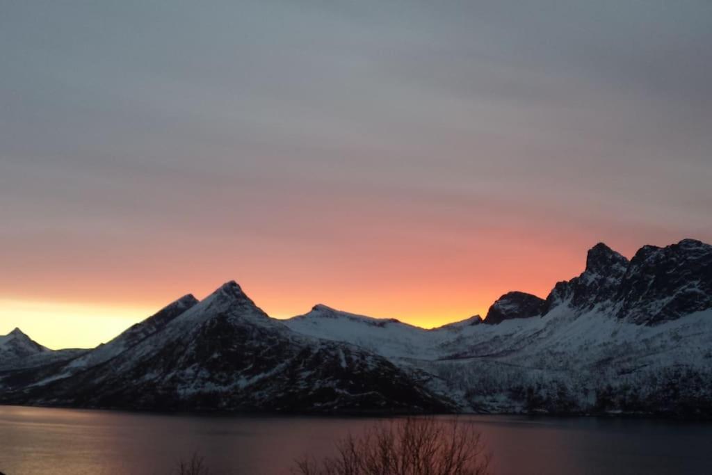 Senja, Husoy I Senja. Leilighet Med Utsikt Over Fjord Og Fjell Tofta Eksteriør billede