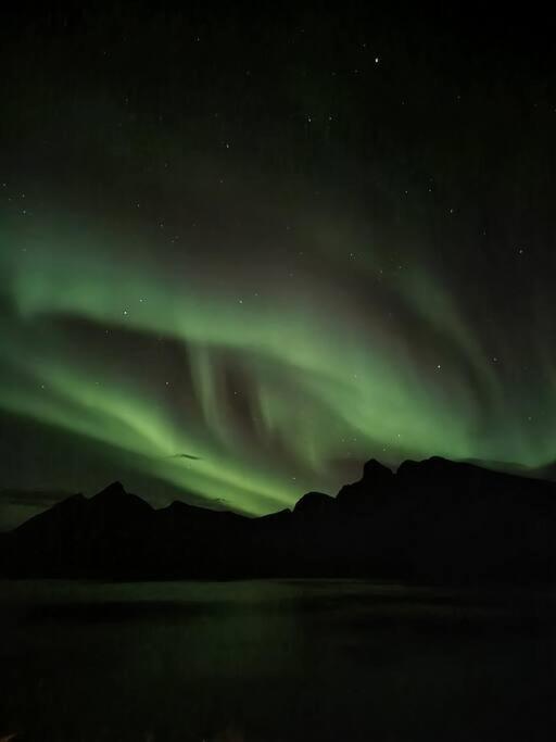 Senja, Husoy I Senja. Leilighet Med Utsikt Over Fjord Og Fjell Tofta Eksteriør billede